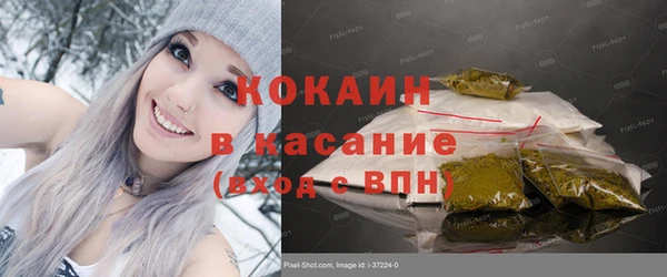 гидра Заречный