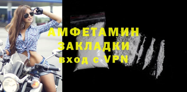 гидра Заречный