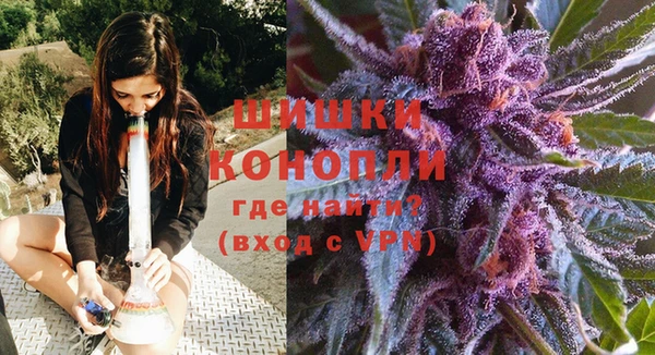 таблы Новозыбков