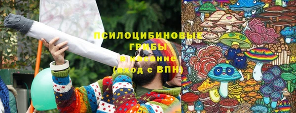 трава Новодвинск