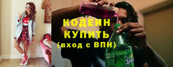 хмурый Заполярный
