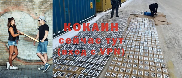 гашик Новокубанск