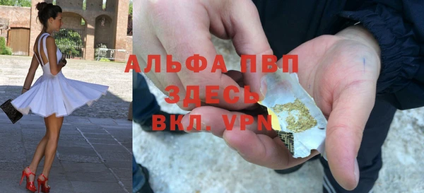 таблы Новозыбков