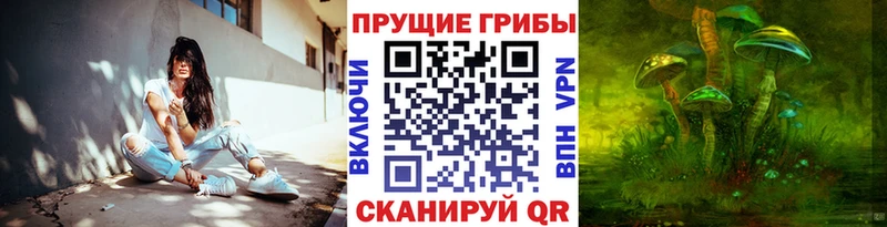 купить закладку  Спас-Деменск  МЕГА сайт  Галлюциногенные грибы GOLDEN TEACHER 